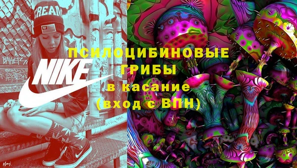 mix Вяземский