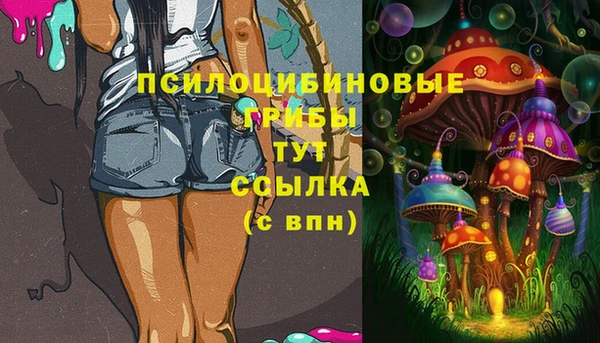 твердый Вязники